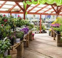 Faizan Nursery Farms - Your Go-To Plant Nursery! 🌱