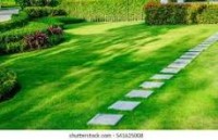 Miraj Son's Landscape – Premium Landscaping & Garden Design Services 🌳🏡