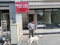 Pet Life Care Clinic