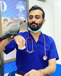 Pets Care Animal Hospital BTK