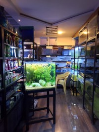 Exotic Aquariums