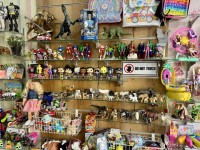 Sports World & Toys BTK