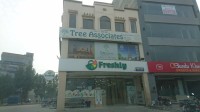 Tree Associates