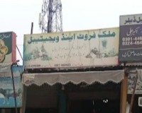 Malik Fruits & Vegetables – Fresh and Quality Produce in Bahria Town, Lahore