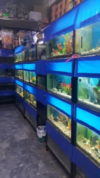 The Aquarium, islamabad