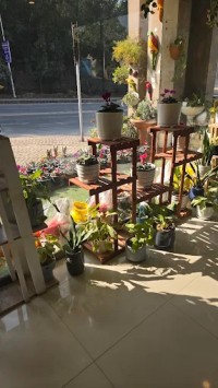 Green Wealth Nursery Farm and Landscapers.