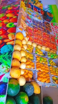 Punjab Fruit Meat Vegetable Shop